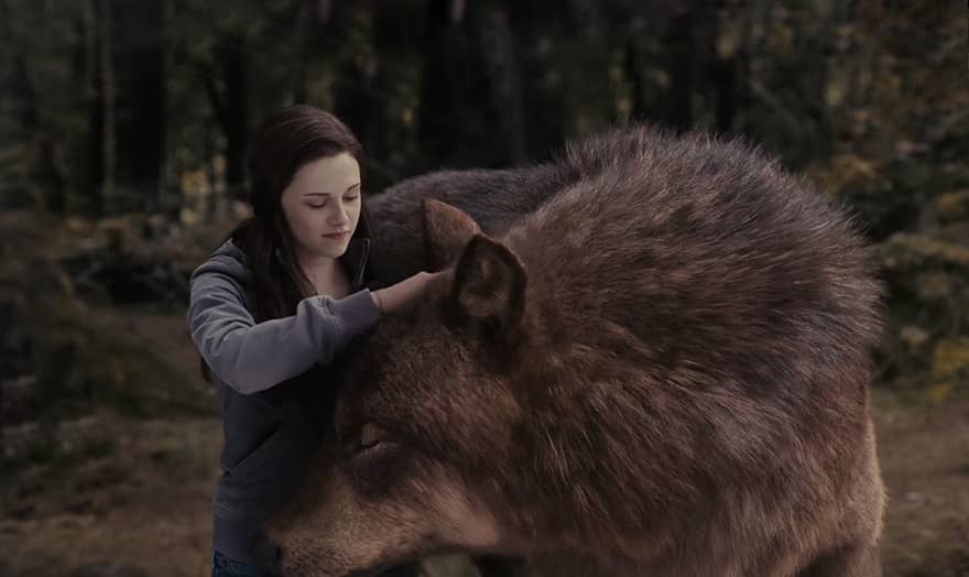  Twilight Saga: Eclipse kamera arkası