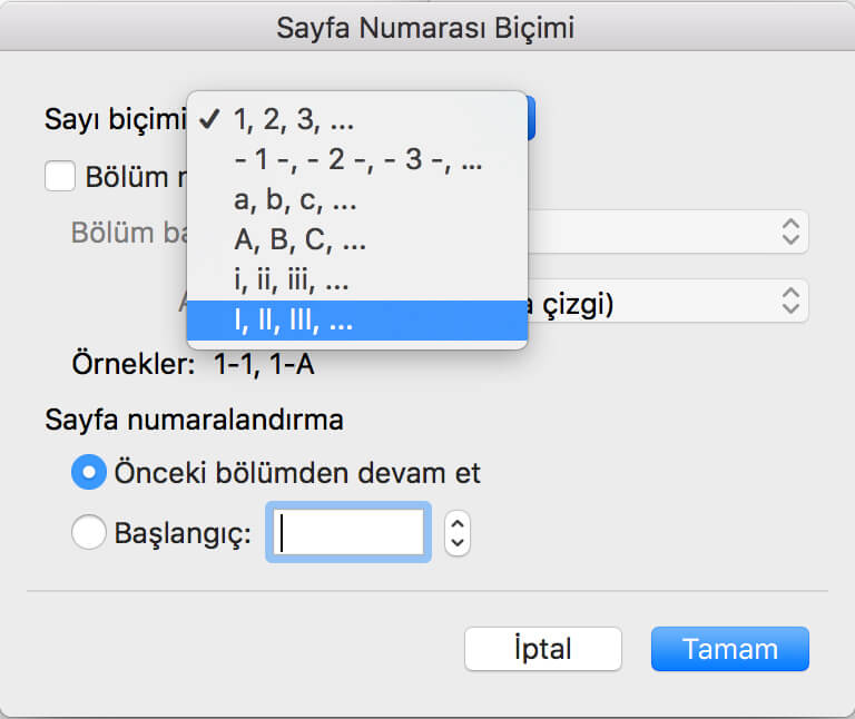 word roma rakamlı sayfa numarası 5