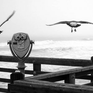 Bir düşünce bir felsefe..