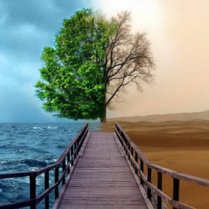 Bir genç ki ne genç..