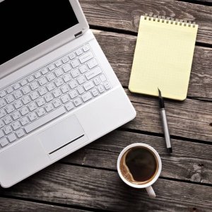 Elestirilerden secmeler..