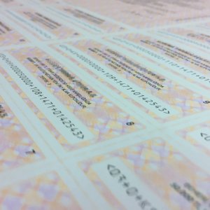 Hisse Senedi Basımı Makronet Basım