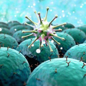 Kanserojen madde içeren markalar - 2017