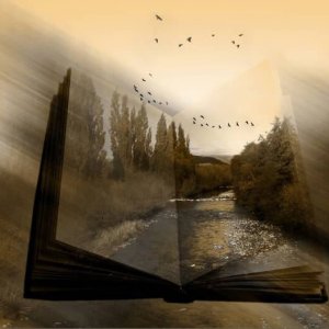 Şu anda bu başlığı okudun ve bitti..