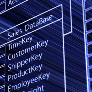 Veritabanı nedir? Veritabanı nasıl oluşturulur?