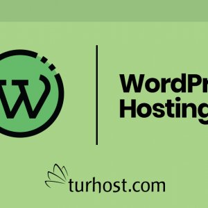 Wordpress Hosting Nedir? 100 Wordpress İle Uyumlu Hosting Var Mı?