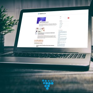 Yeni Başlayanlar İçin Web Hosting Rehberi